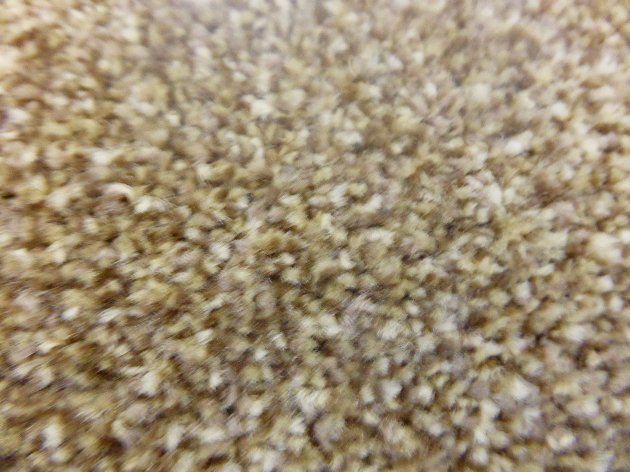 Carpet King Discount Carpets and Vinyl in Dundee